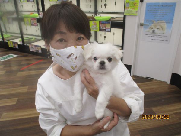 写真