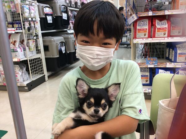 写真