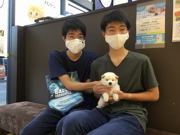 写真