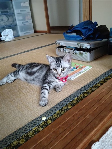 写真
