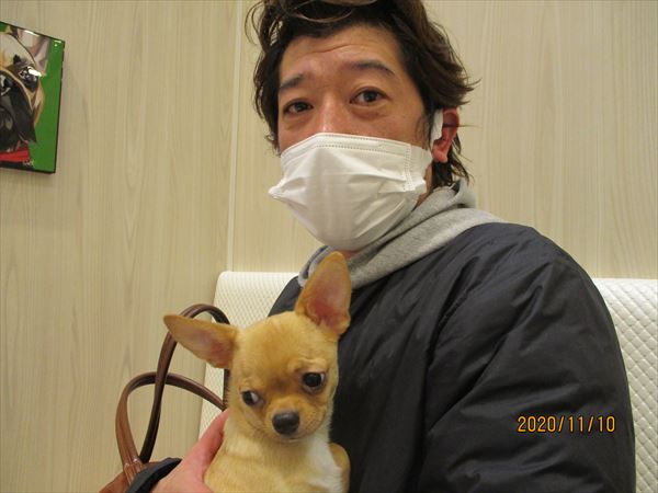 写真