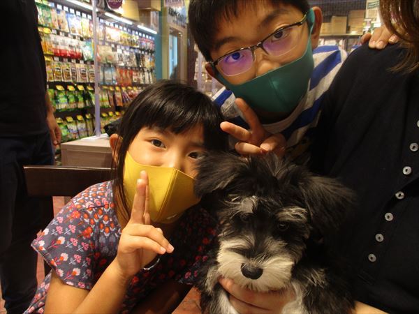 写真
