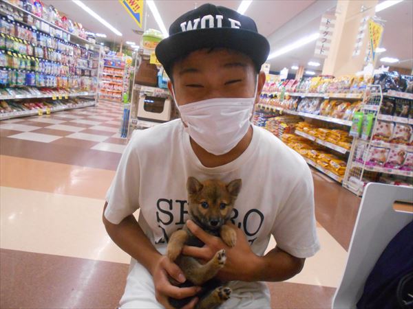 写真