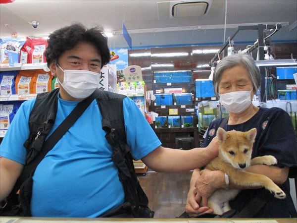 写真