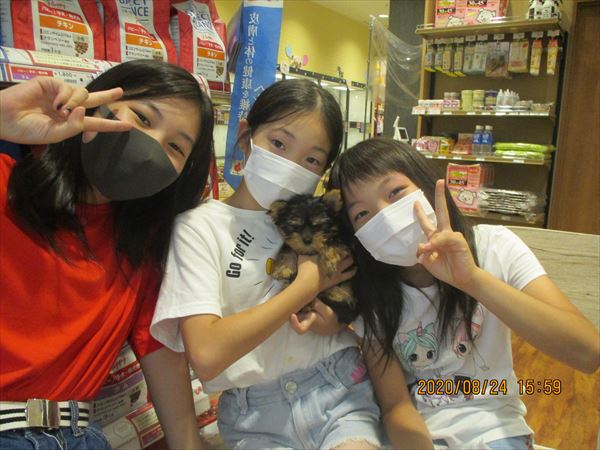 写真