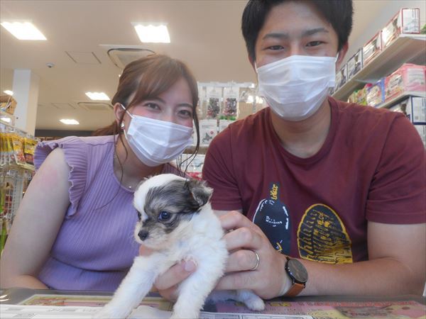 写真