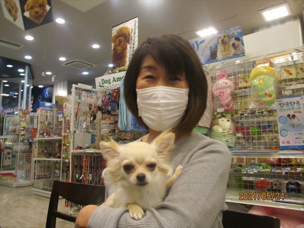 写真