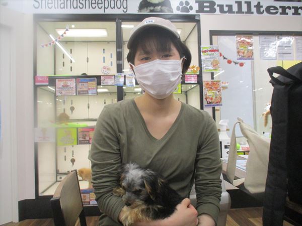 写真
