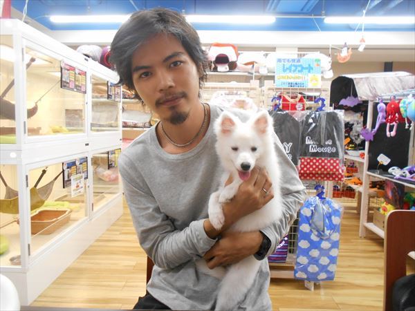 写真