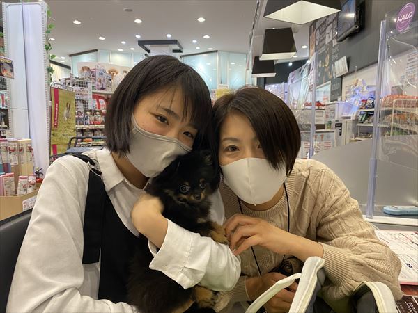 写真