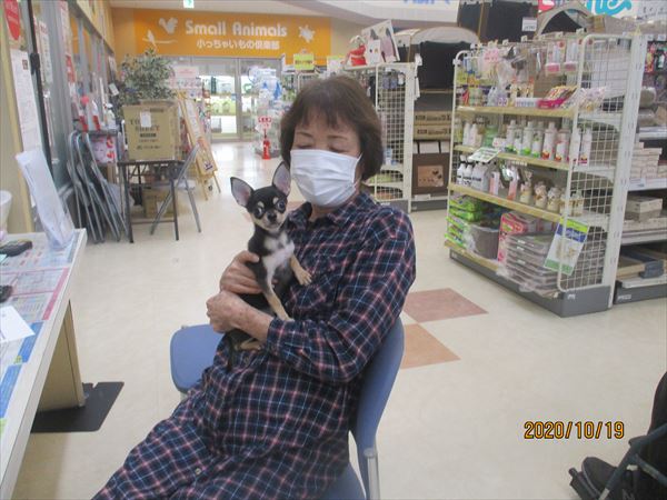 写真