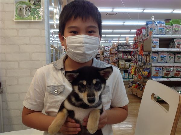 写真