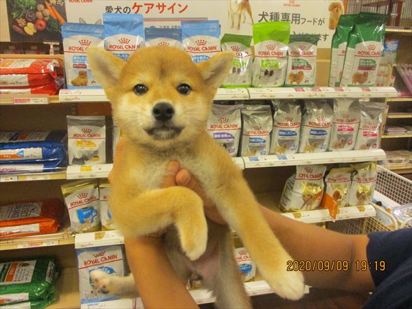 写真
