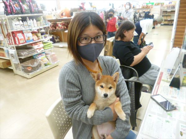 写真