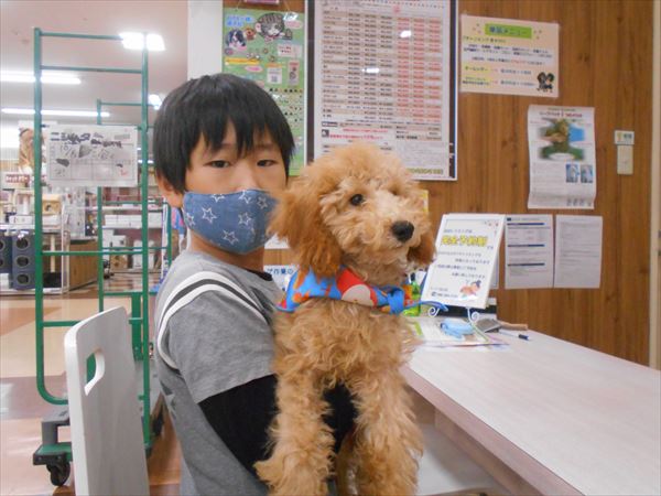 写真