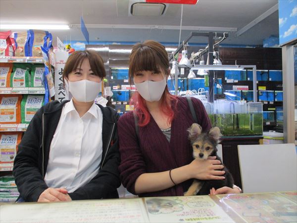 写真