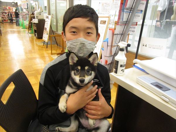 写真