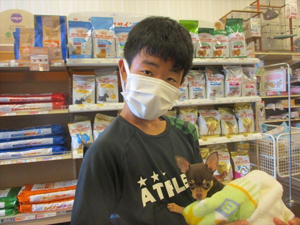 写真