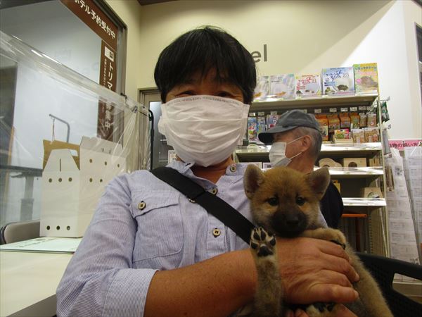 写真