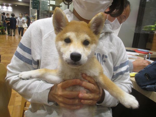 写真