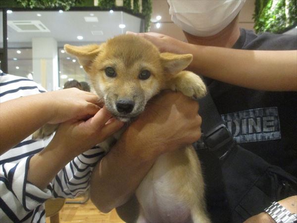 写真
