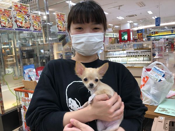 写真