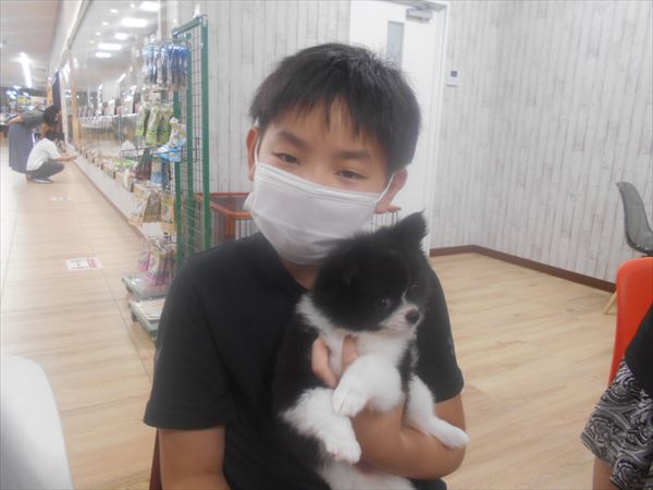 写真
