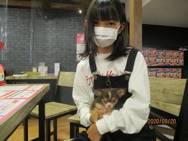 写真