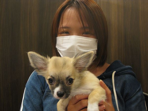 写真