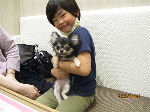 写真