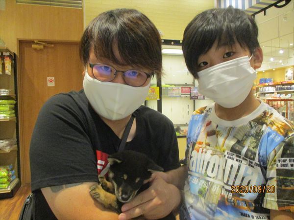 写真
