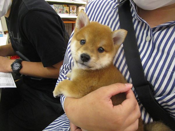 写真