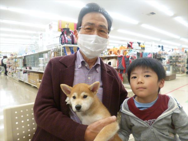 写真
