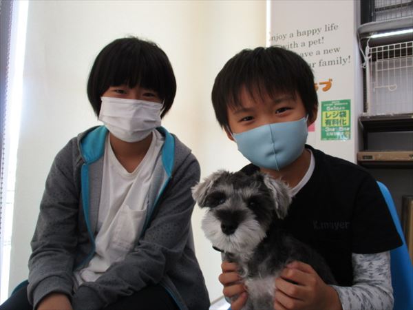 写真