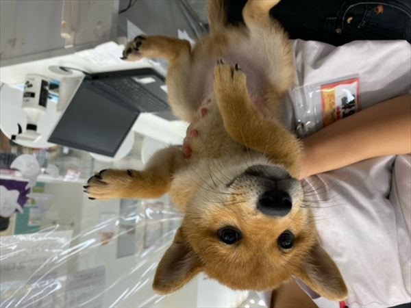 写真
