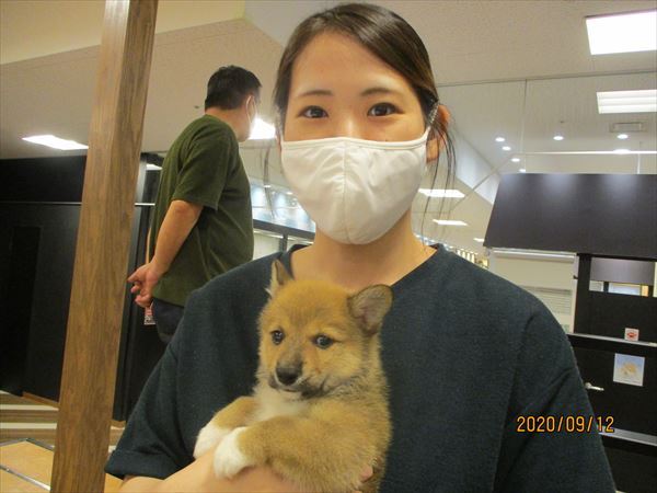 写真