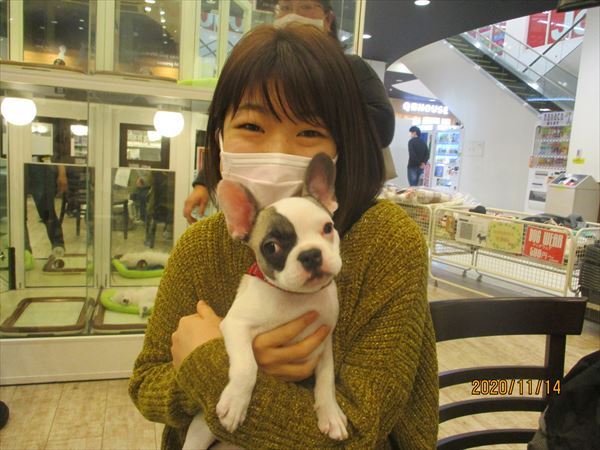 写真