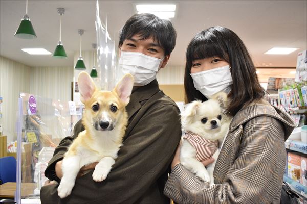 写真