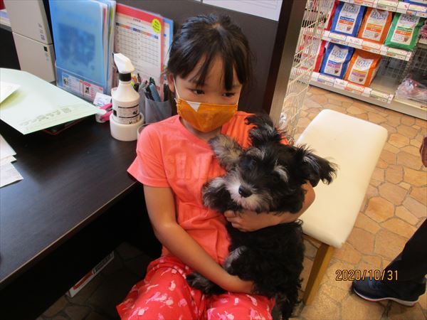 写真