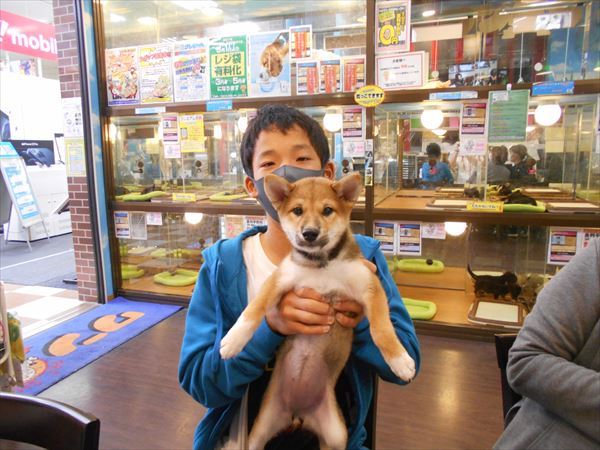 写真
