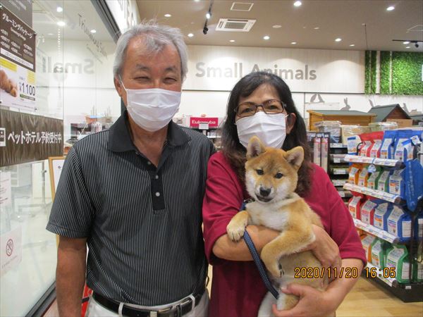 写真