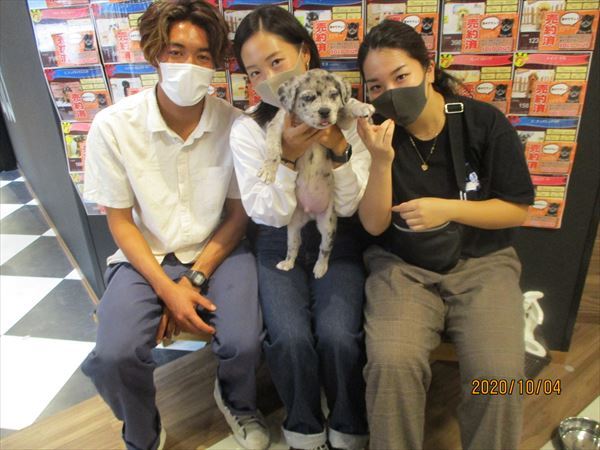 写真
