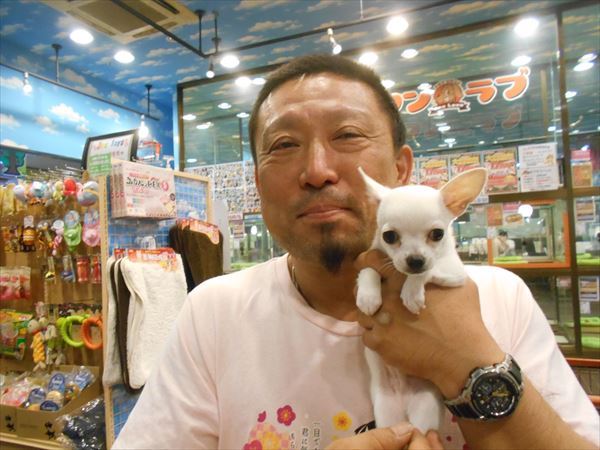 写真