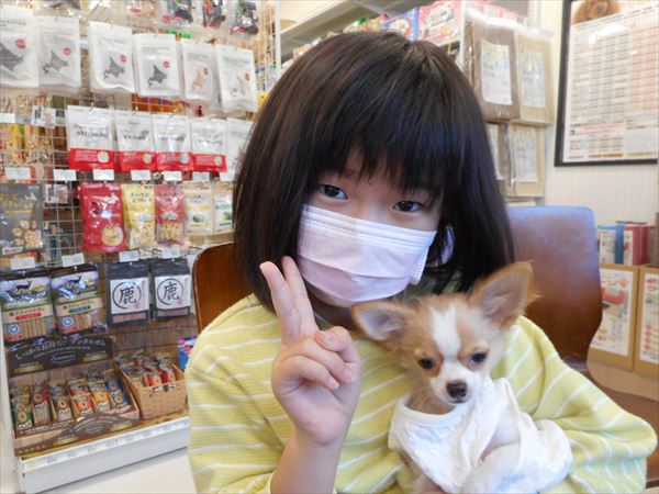 写真