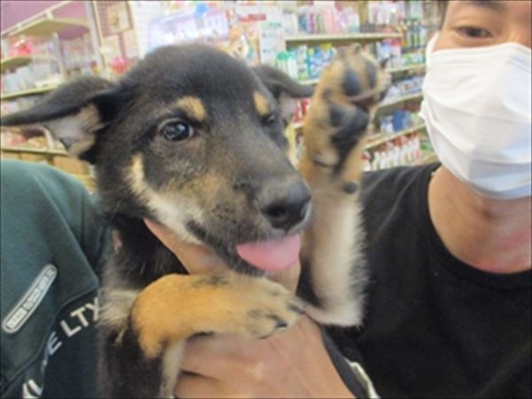 写真