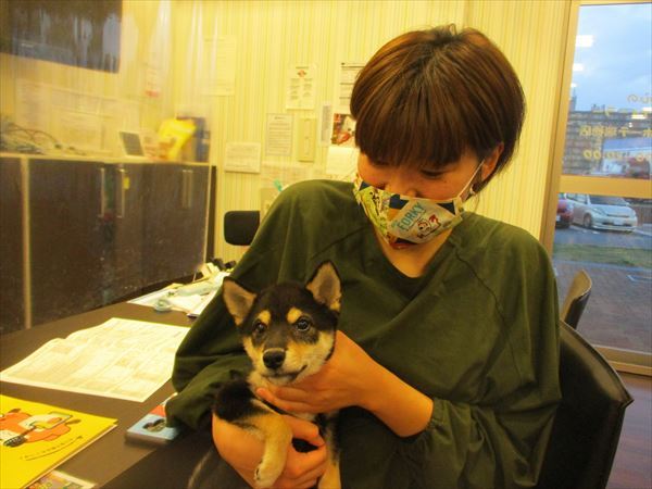写真