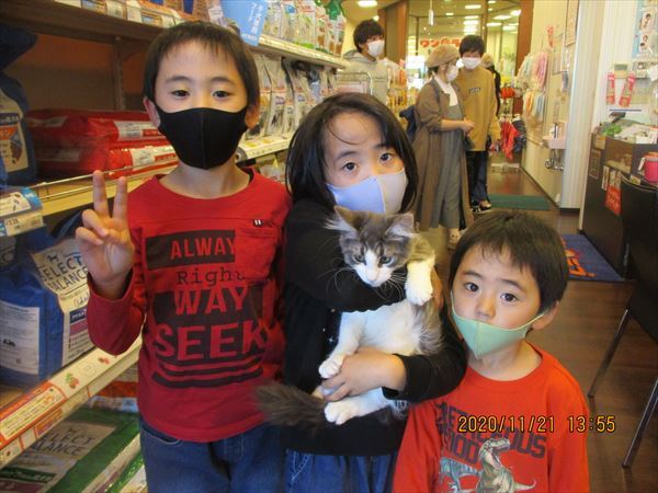 写真
