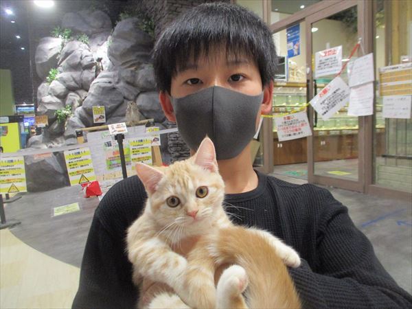 写真