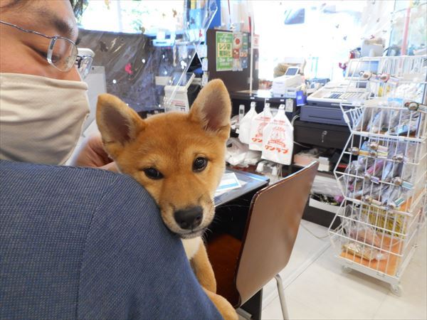 写真