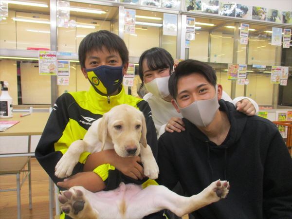 写真